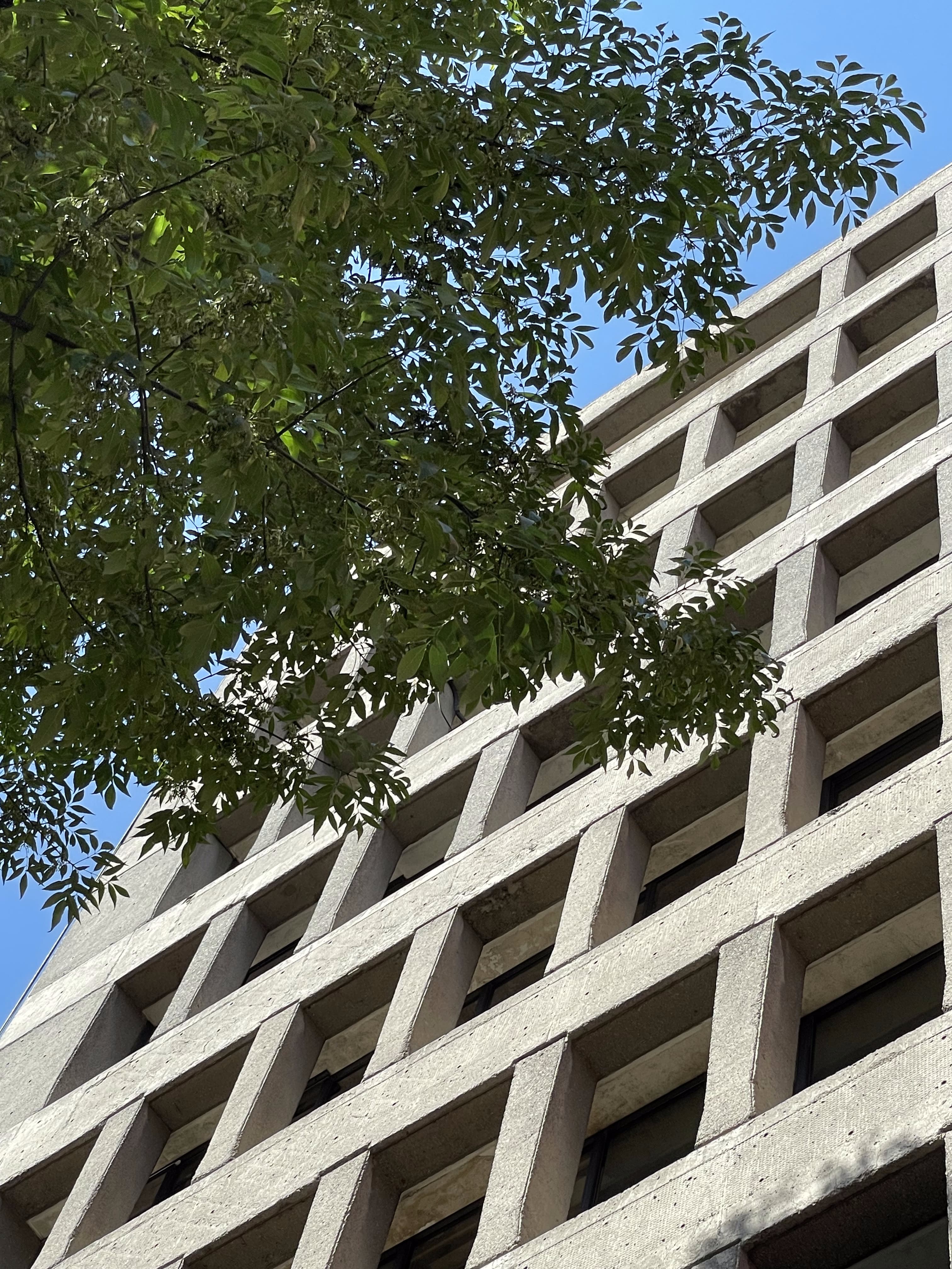 Edificio Insurgentes Sur 1824